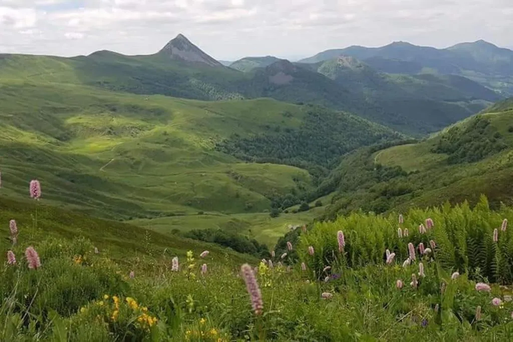 Holiday home Gites Entre Salers Et Le Puy Mary Dans Le Cantal Saint-Paul-de-Salers